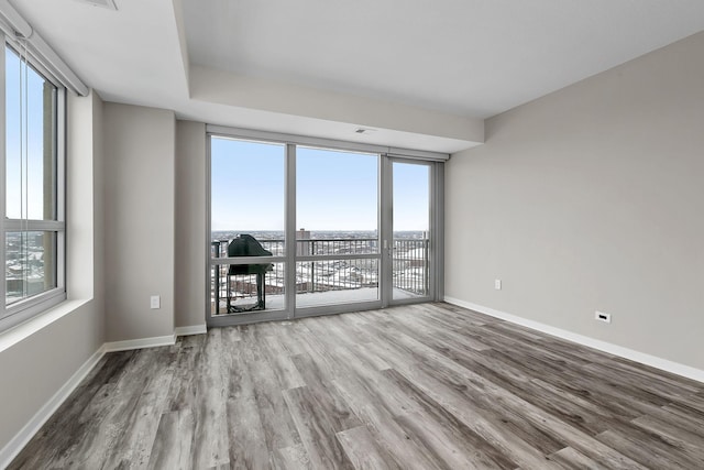 929 Portland Ave Unit 2106, Minneapolis, MN 55404 - empty room featuring wood finished floors and healthy amount of natural light