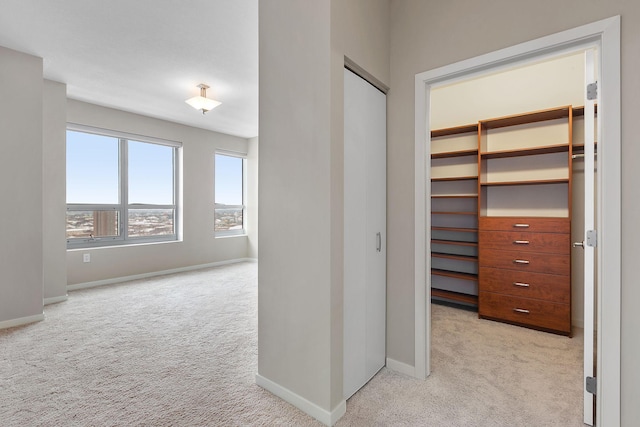 929 Portland Ave Unit 2106, Minneapolis, MN 55404 - walk in closet with light carpet