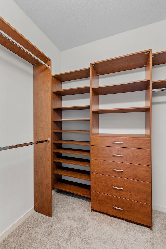 929 Portland Ave Unit 2106, Minneapolis, MN 55404 - walk in closet featuring light colored carpet