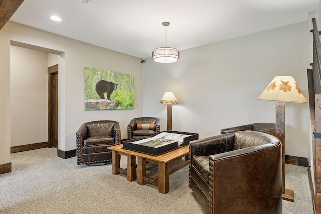 1099 Indian Trl S, Afton, MN 55001 - photo 38