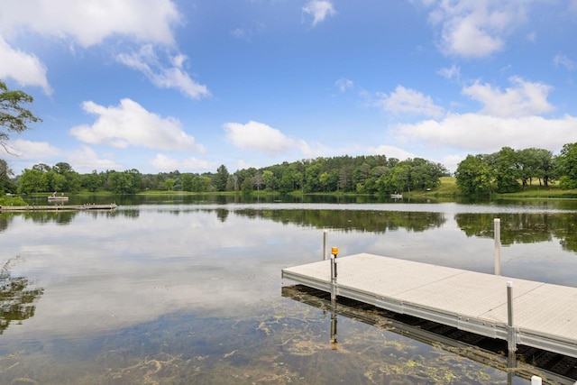 1099 Indian Trl S, Afton, MN 55001 - photo 75