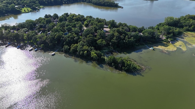 57975 226th St, Litchfield, MN 55355 - aerial view of property and surrounding area with a nearby body of water and a forest