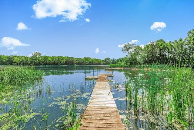 57975 226th St, Litchfield, MN 55355 - dock area with a water view and a forest view
