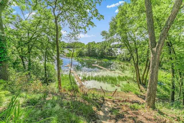 57975 226th St, Litchfield, MN 55355 - water view