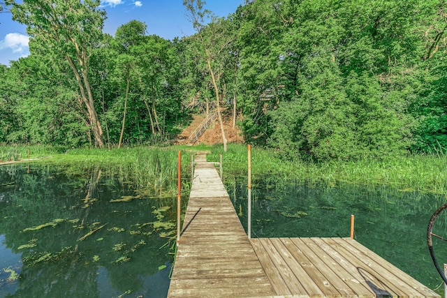 57975 226th St, Litchfield, MN 55355 - dock featuring a water view