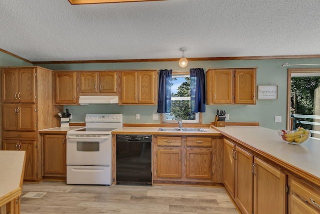 57975 226th St, Litchfield, MN 55355 - kitchen with white range with electric cooktop, black dishwasher, under cabinet range hood, a textured ceiling, and brown cabinets