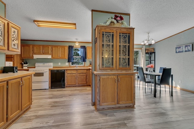 57975 226th St, Litchfield, MN 55355 - kitchen with dishwasher, white electric range, under cabinet range hood, a textured ceiling, and crown molding