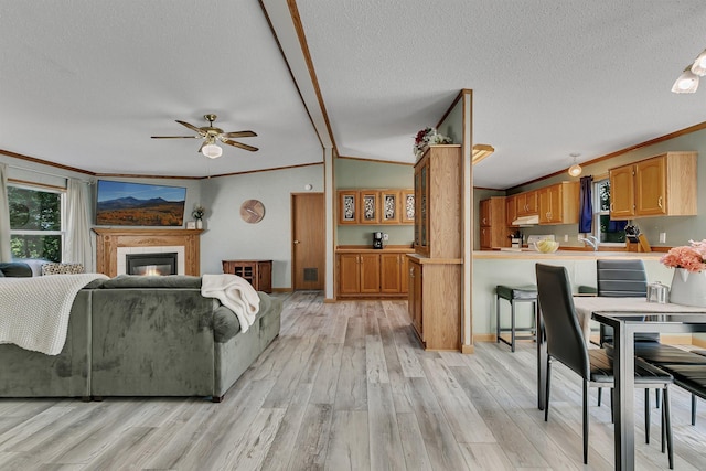 57975 226th St, Litchfield, MN 55355 - living room featuring ornamental molding, a textured ceiling, a ceiling fan, light wood finished floors, and a fireplace