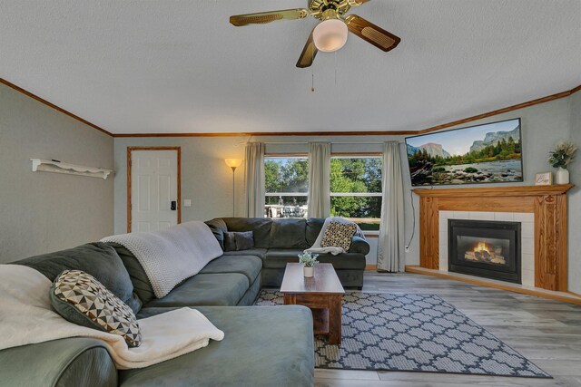 57975 226th St, Litchfield, MN 55355 - living area featuring crown molding, a textured ceiling, wood finished floors, a fireplace, and ceiling fan
