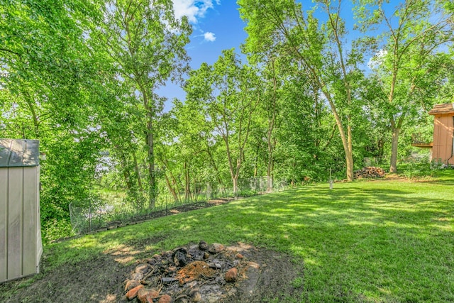 57975 226th St, Litchfield, MN 55355 - view of yard