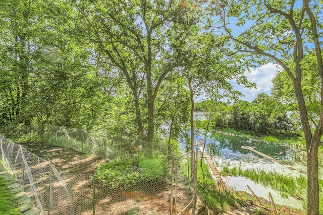 57975 226th St, Litchfield, MN 55355 - water view