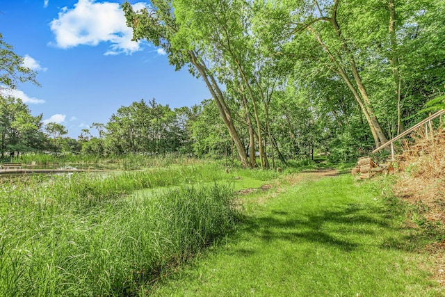57975 226th St, Litchfield, MN 55355 - view of yard