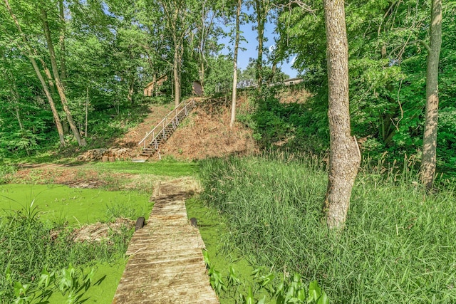 57975 226th St, Litchfield, MN 55355 - view of yard with stairs