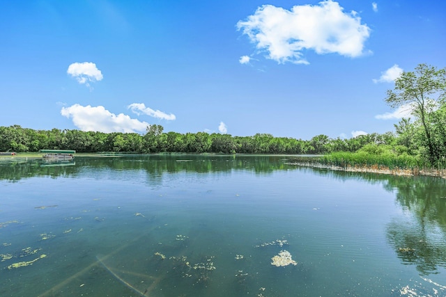 57975 226th St, Litchfield, MN 55355 - water view featuring a forest