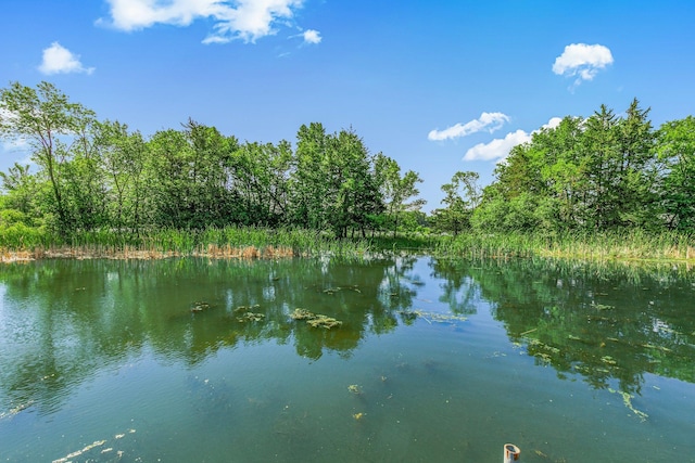 57975 226th St, Litchfield, MN 55355 - water view