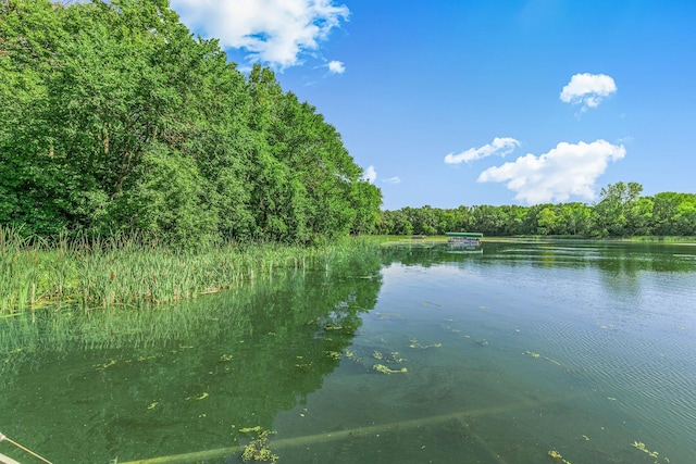 57975 226th St, Litchfield, MN 55355 - water view with a forest