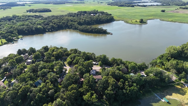 57975 226th St, Litchfield, MN 55355 - aerial view of a large body of water