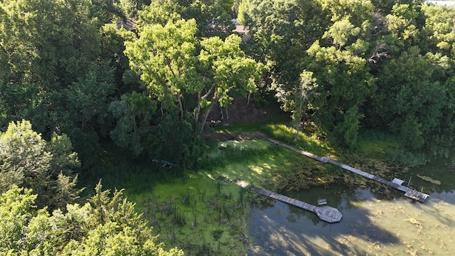 57975 226th St, Litchfield, MN 55355 - view of property location with a heavily wooded area