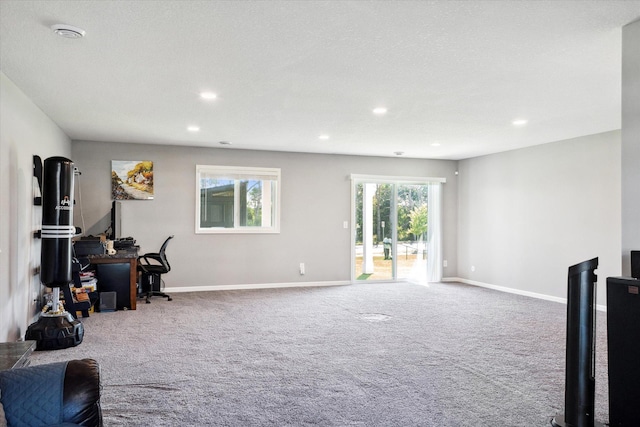 15005 Quintana St NW, Ramsey, MN 55303 - carpeted living room featuring recessed lighting
