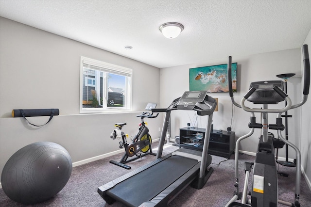 15005 Quintana St NW, Ramsey, MN 55303 - exercise area with carpet flooring and a textured ceiling
