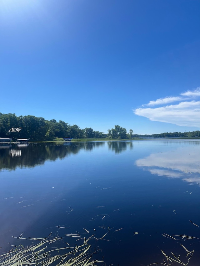 51440 Long Point Pl, Shamrock Twp, MN 55760 - water view