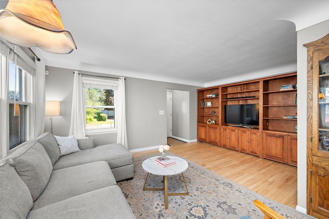 1890 Sheridan Ave, Saint Paul, MN 55116 - living room with light wood-style flooring and baseboards