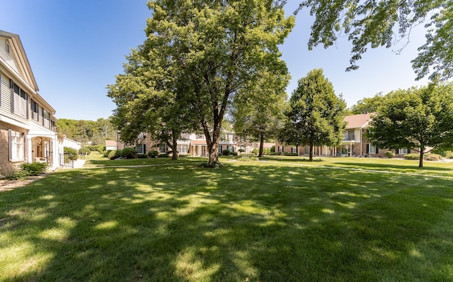 2051 Carriage Dr SW Unit 2051D, Rochester, MN 55902 - view of grassy yard
