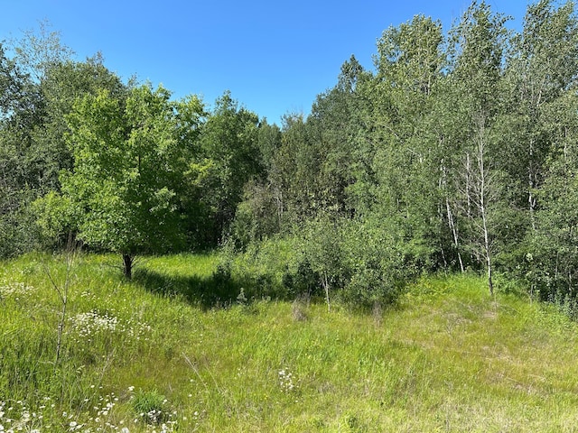 TBD 260th, Rockwood Twp, MN 56477