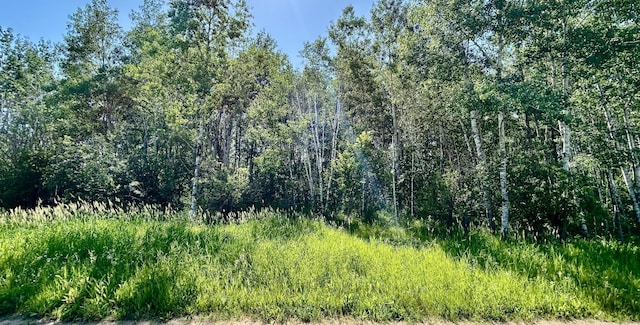 TBD 260th, Rockwood Twp, MN 56477