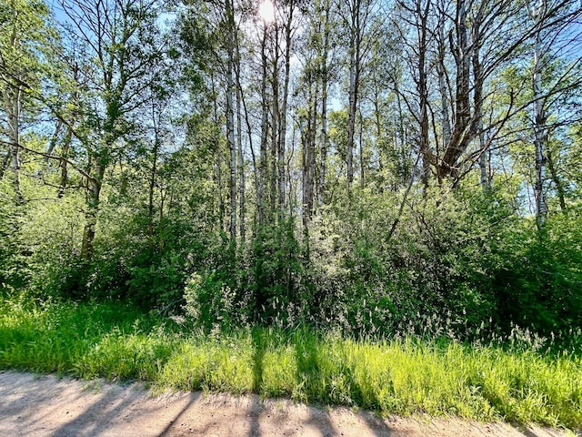 TBD 260th, Rockwood Twp, MN 56477