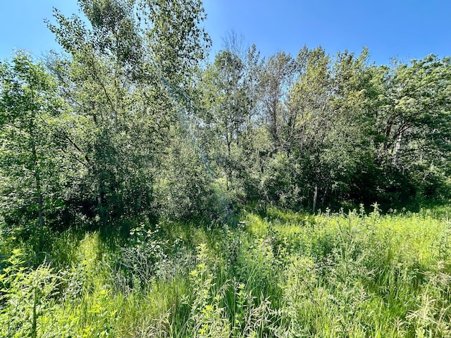 TBD 260th, Rockwood Twp, MN 56477