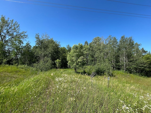 TBD 260th, Rockwood Twp, MN 56477