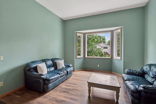 10989 Eagle Lake Blvd, Maple Grove, MN 55369 - living area featuring wood finished floors
