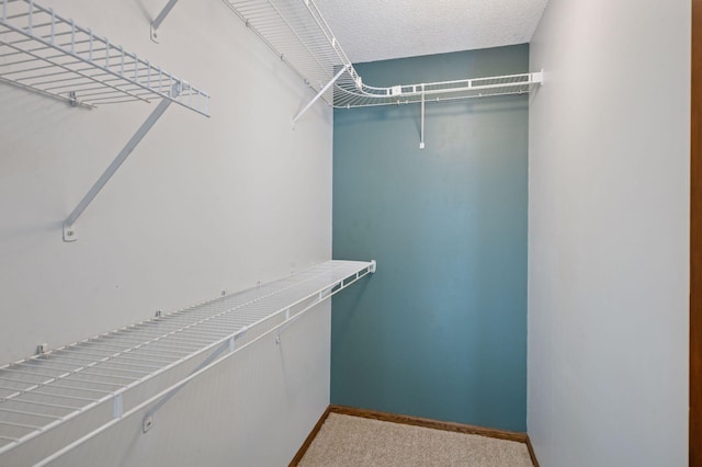 10989 Eagle Lake Blvd, Maple Grove, MN 55369 - walk in closet featuring light colored carpet