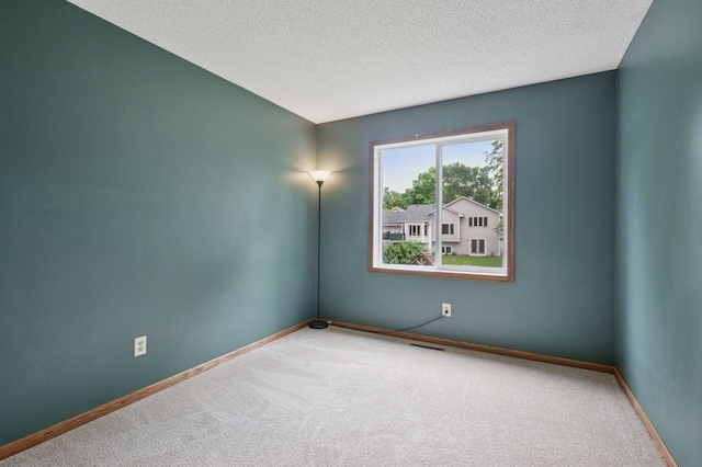 10989 Eagle Lake Blvd, Maple Grove, MN 55369 - spare room with carpet and a textured ceiling