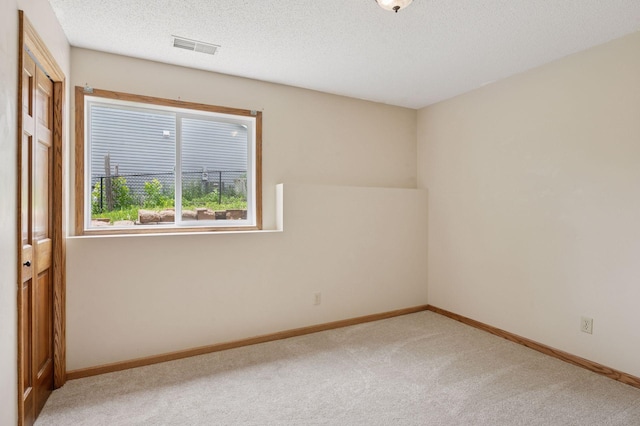 10989 Eagle Lake Blvd, Maple Grove, MN 55369 - empty room with carpet and a textured ceiling