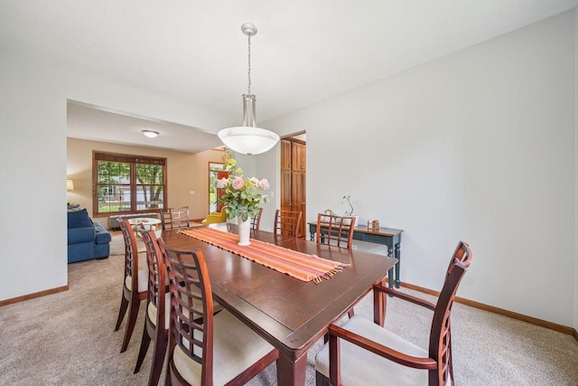 4628 Pinetree Curv, Eagan, MN 55122 - photo 23