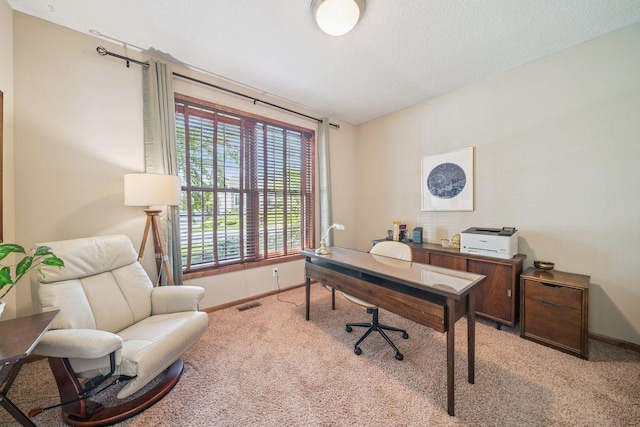 4628 Pinetree Curv, Eagan, MN 55122 - photo 22