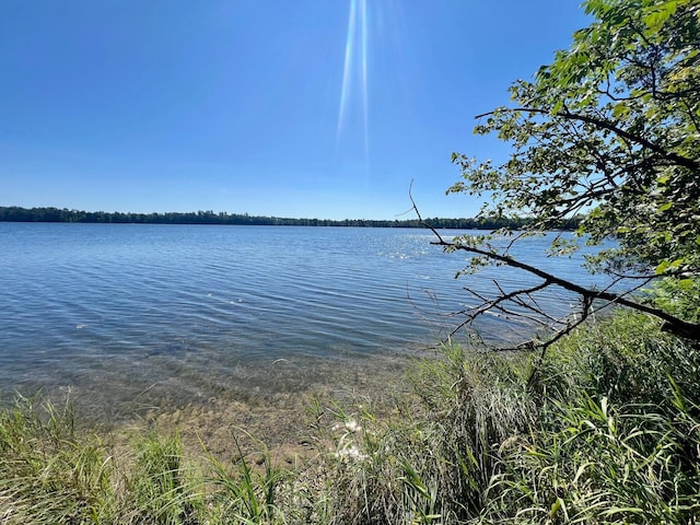 TBD State 84 Highway, Longville, MN 56655