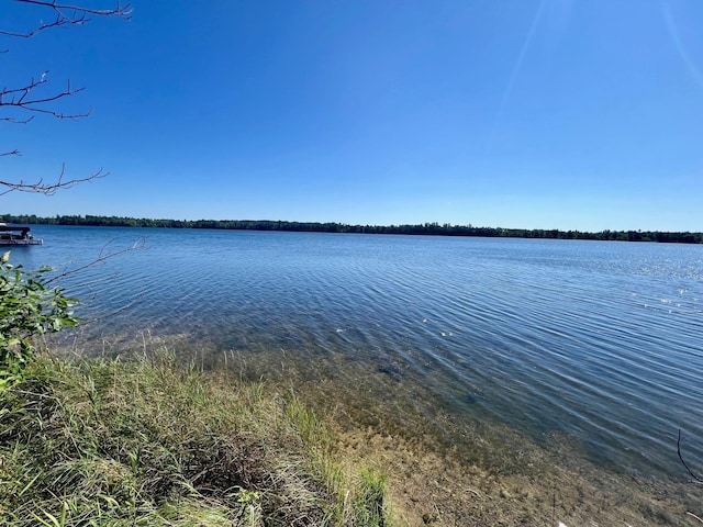 TBD State 84 Highway, Longville, MN 56655