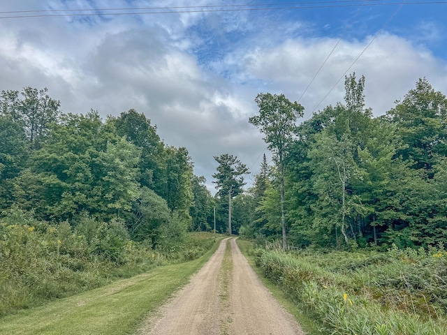 TBD State 84 Highway, Longville, MN 56655