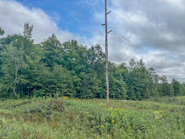 TBD State 84 Highway, Longville, MN 56655