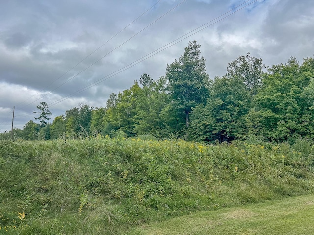 TBD State 84 Highway, Longville, MN 56655