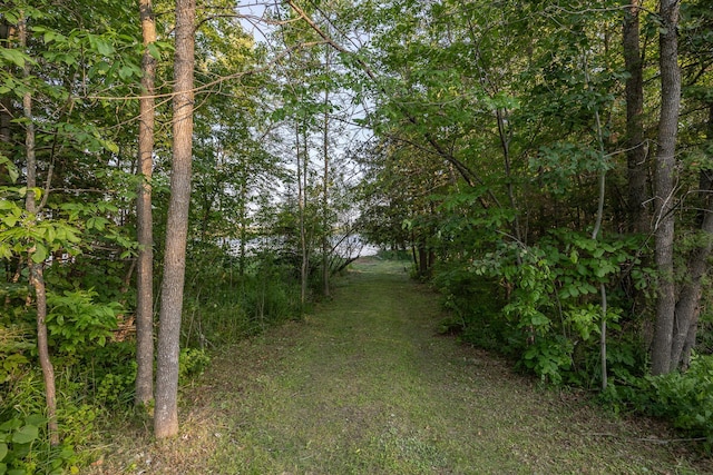 TBD State 84 Highway, Longville, MN 56655
