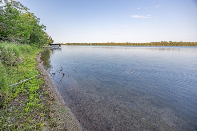 TBD State 84 Highway, Longville, MN 56655