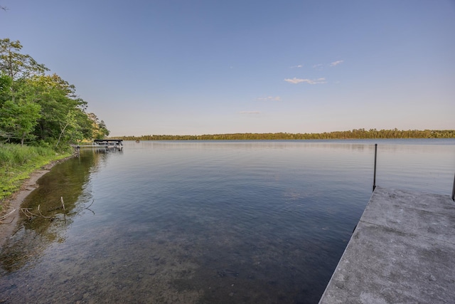 TBD State 84 Highway, Longville, MN 56655