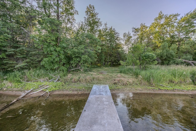 TBD State 84 Highway, Longville, MN 56655