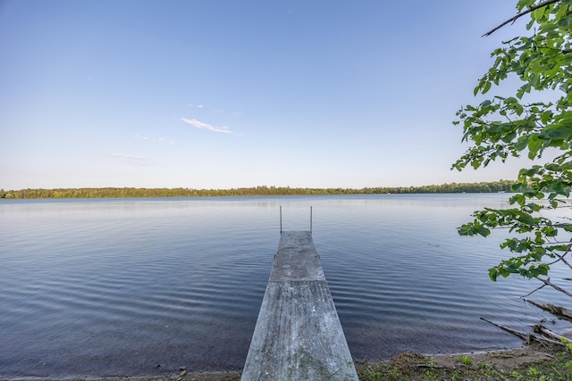 TBD State 84 Highway, Longville, MN 56655