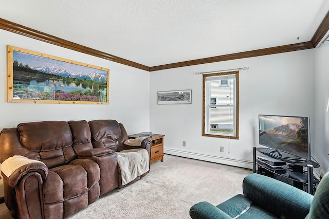 404 2nd St W, Jordan, MN 55352 - living room with a baseboard radiator, crown molding, and carpet flooring