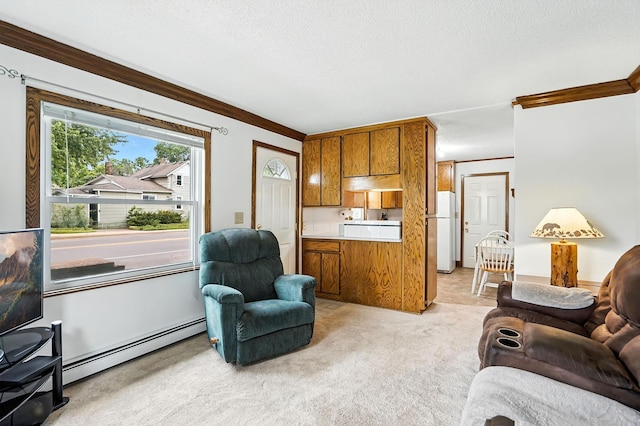 404 2nd St W, Jordan, MN 55352 - living area featuring baseboard heating, ornamental molding, light carpet, and a textured ceiling